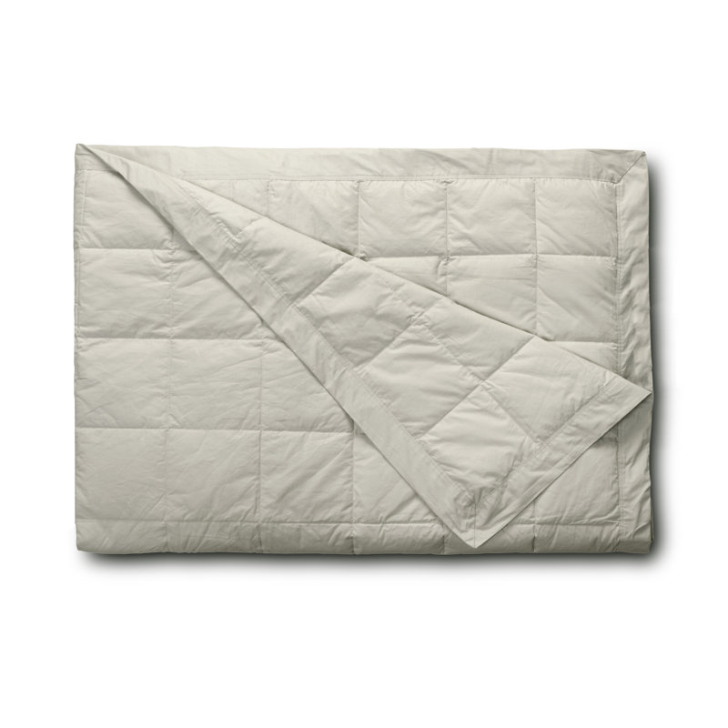 Alwyn Home Gaillard Hypoallergenic Cotton Blanket & Reviews Wayfair